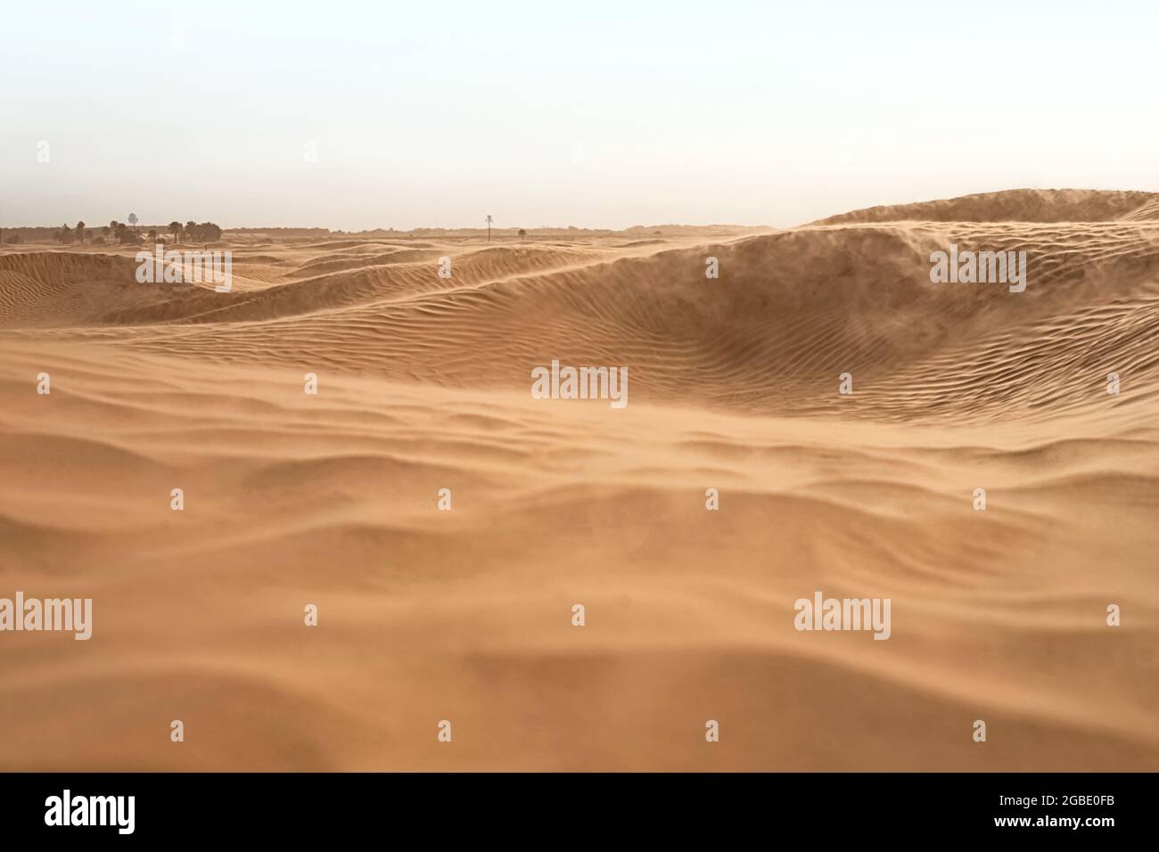 Lonely sand dunes in a strong wind under the sky against the background of arid desert Stock Photo