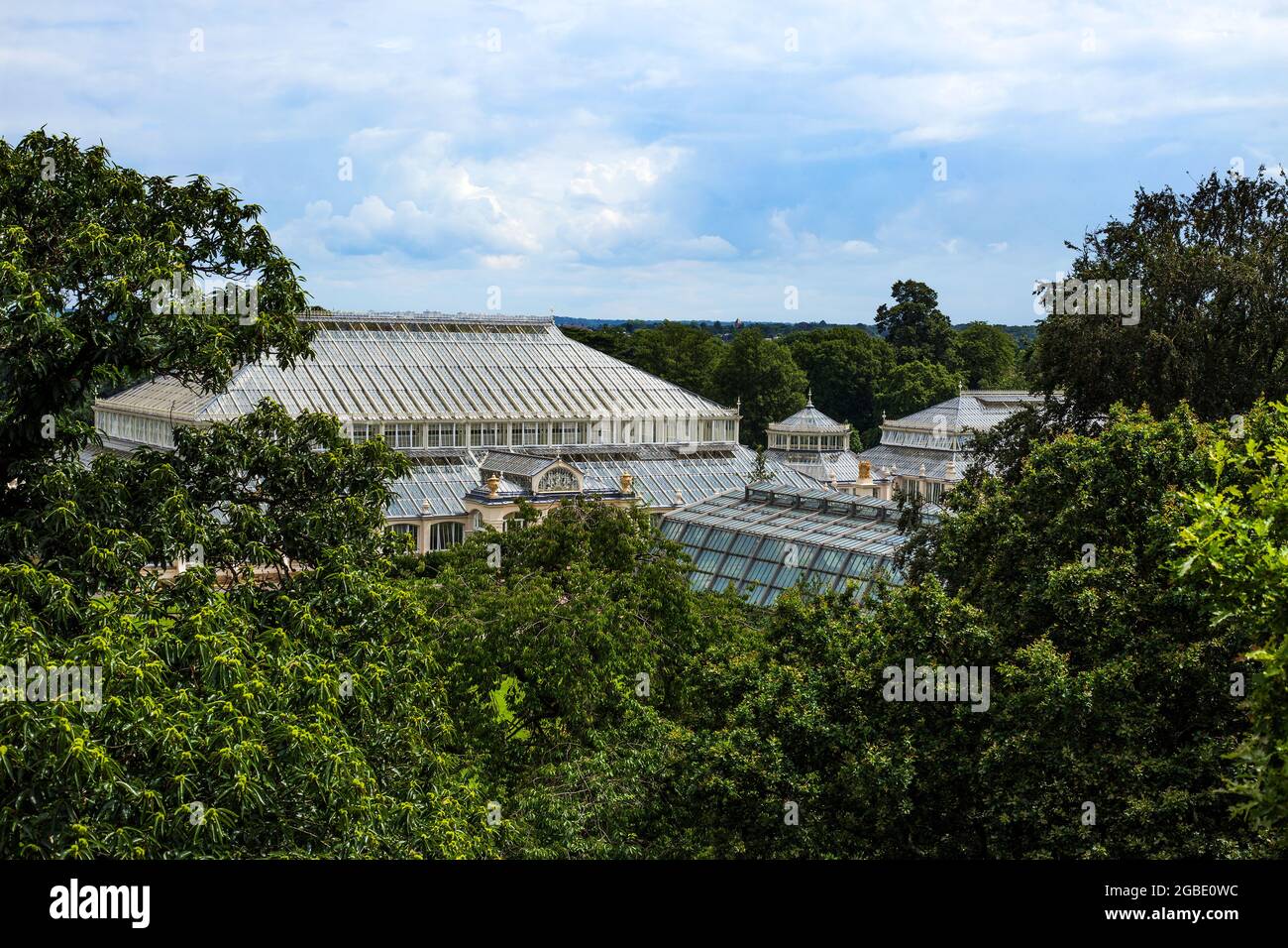 Kew Gardens, London 2021.  Aerial view of the Temperate House as seen from the Tree Top Walkway, which is an elevated walkway through the tree canopy. Stock Photo