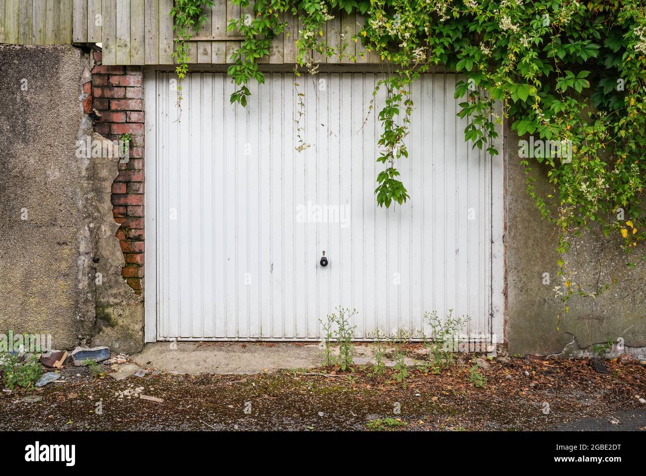 White metal garage door beneath large overgrown ivy plant Stock Photo