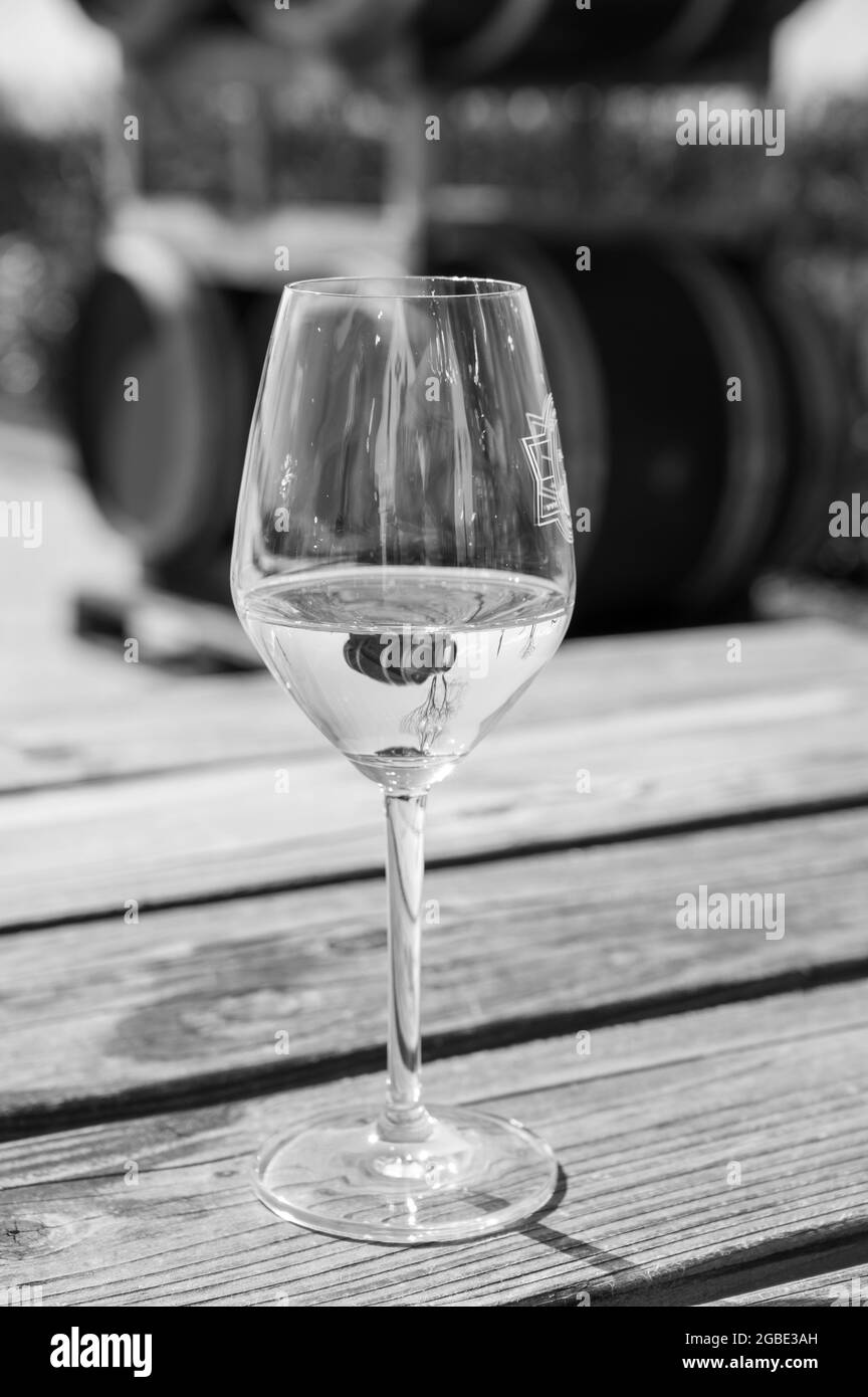 Wine production in Netherlands, white wine tasting glass close-up Stock Photo