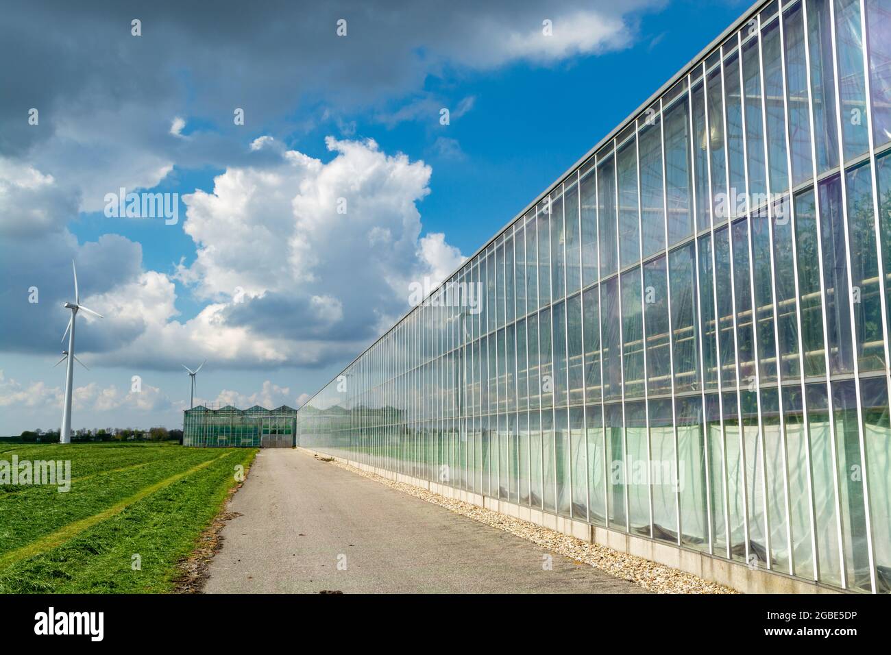 Agriculture in Netherlands, big glass greenhouses used for growing
