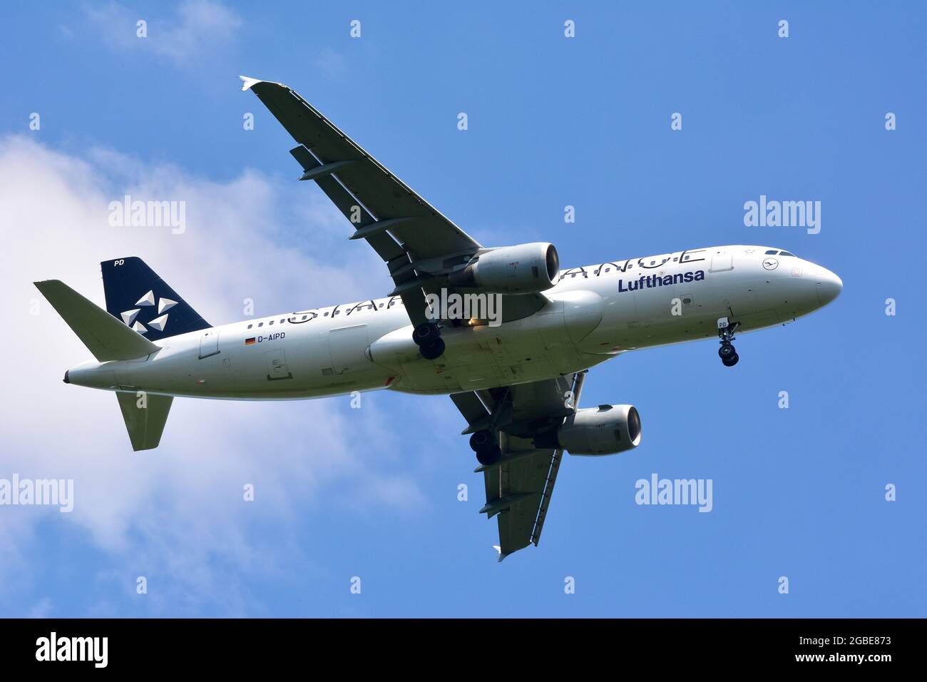 Lufthansa (is the largest German airline), Star Alliance, Airbus A320  airplane Stock Photo - Alamy