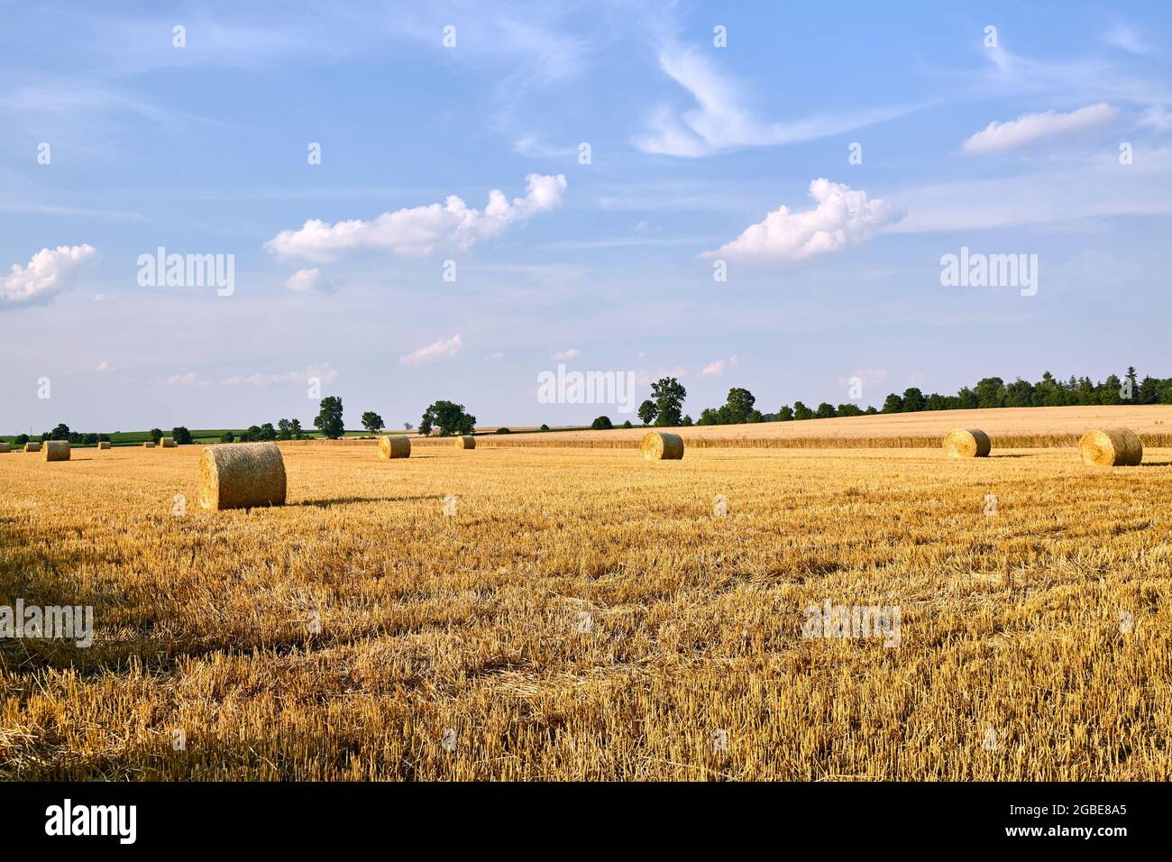 Rural landscape with stubble during summer in Poland Stock Photo - Alamy