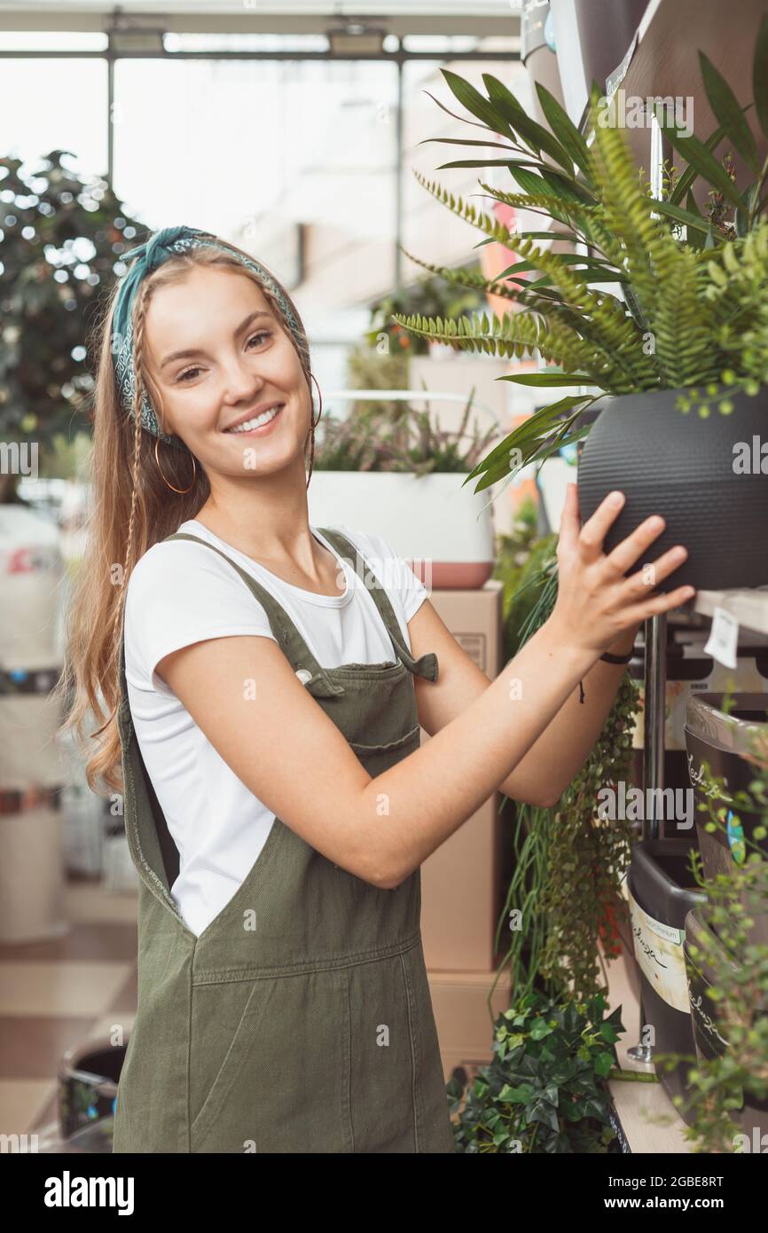 Woman in greenhouse standing fern in pot on rack. Stock Photo