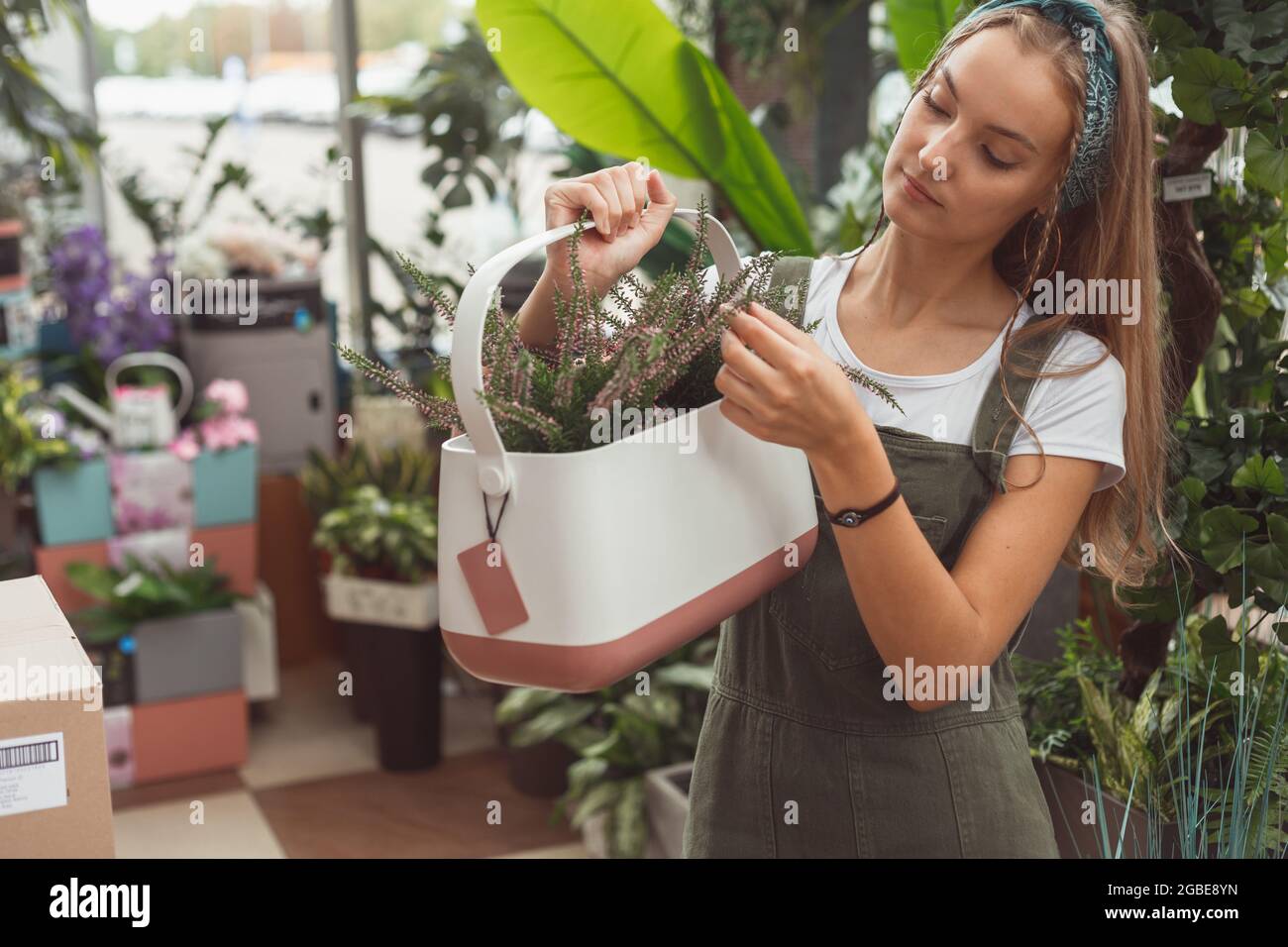 Garden center and wholesale supplier concept. Buying plants for home Stock Photo