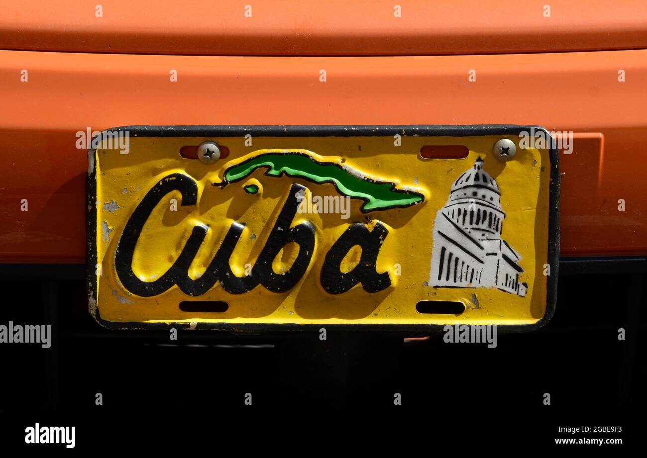 Decorative front best sale license plates