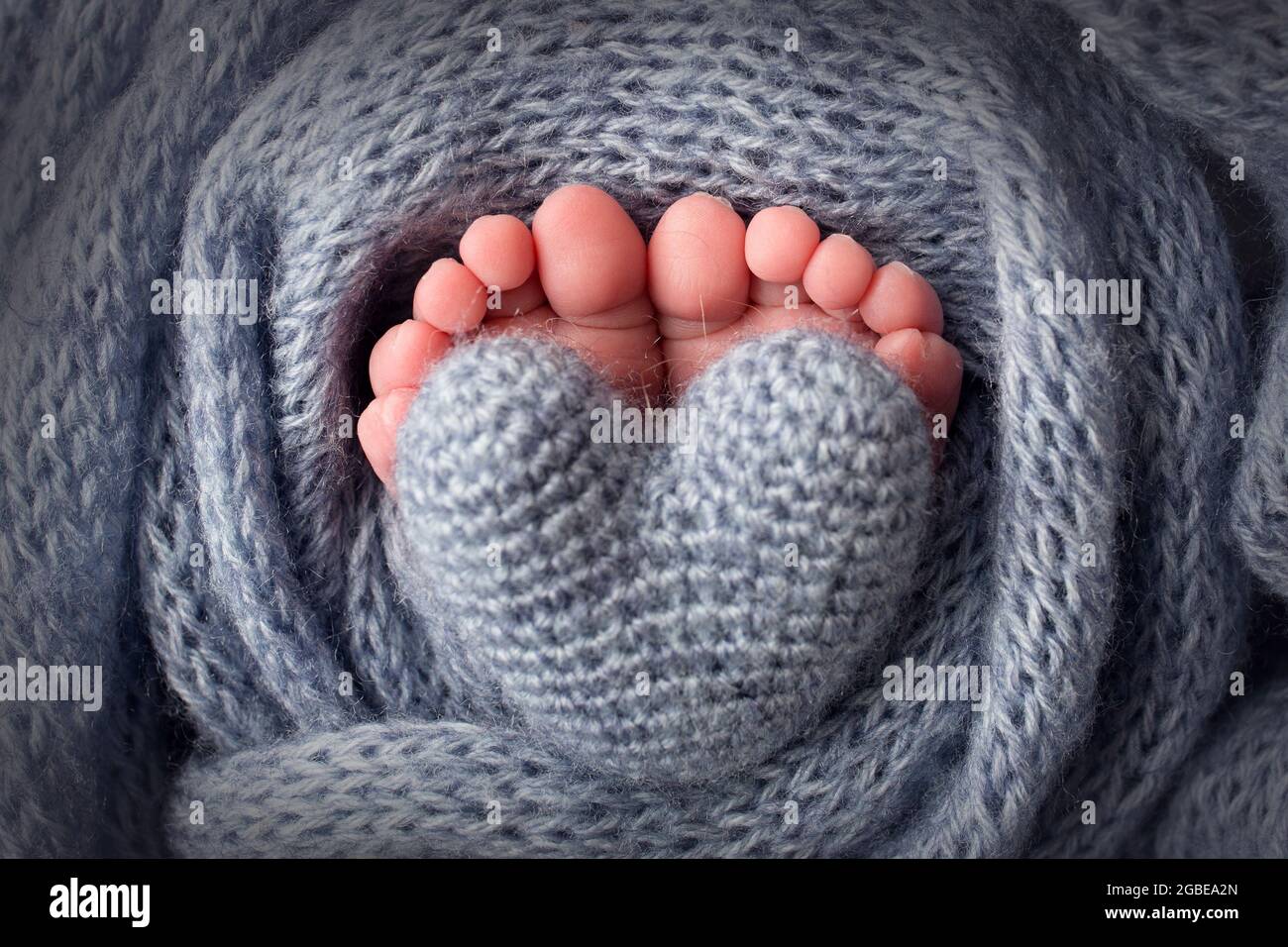 Baby's feet in a soft light blue woolen blanket. Small toes.  Stock Photo