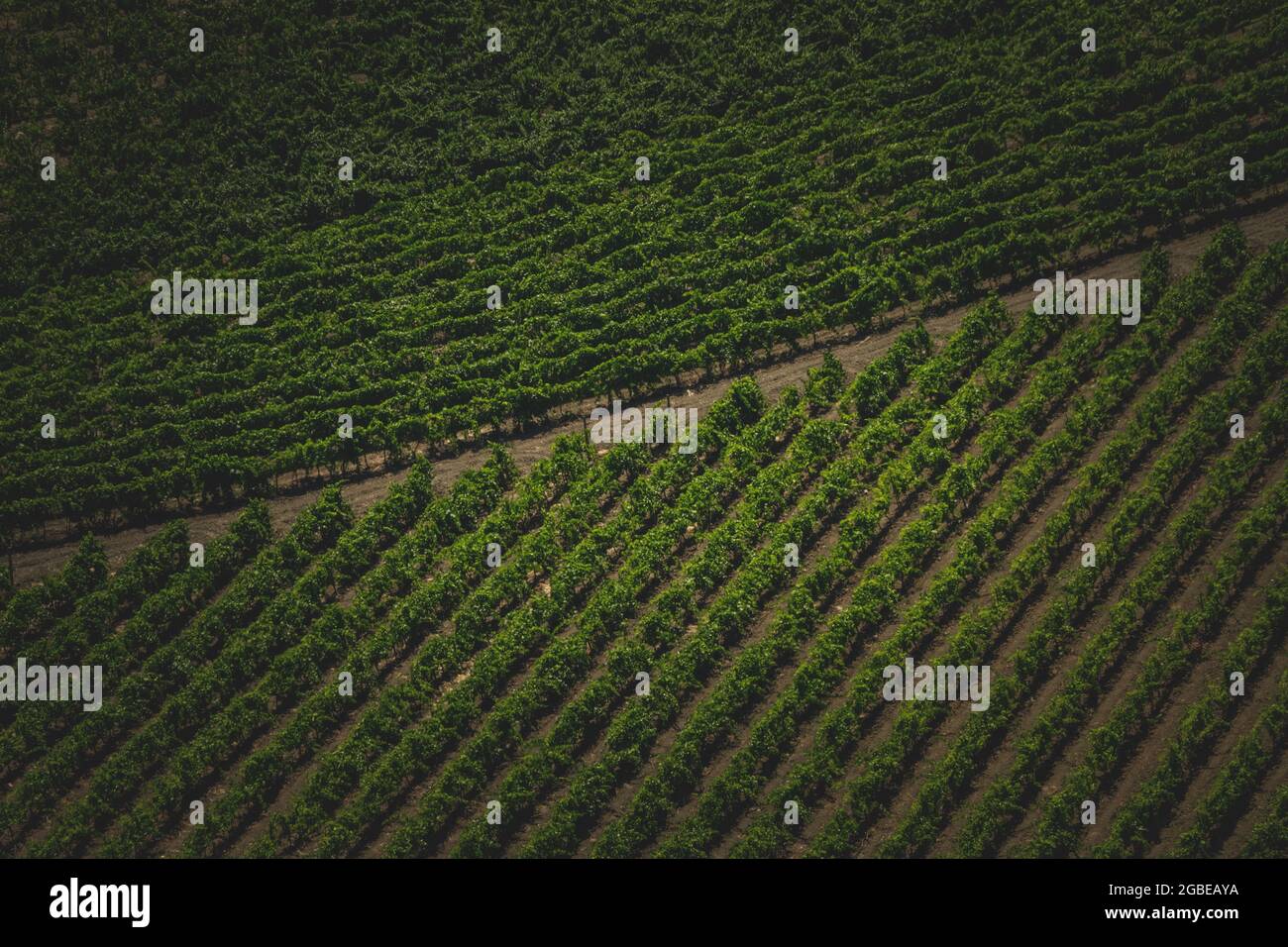 Beautiful view of a cultivated agricultural field Stock Photo - Alamy