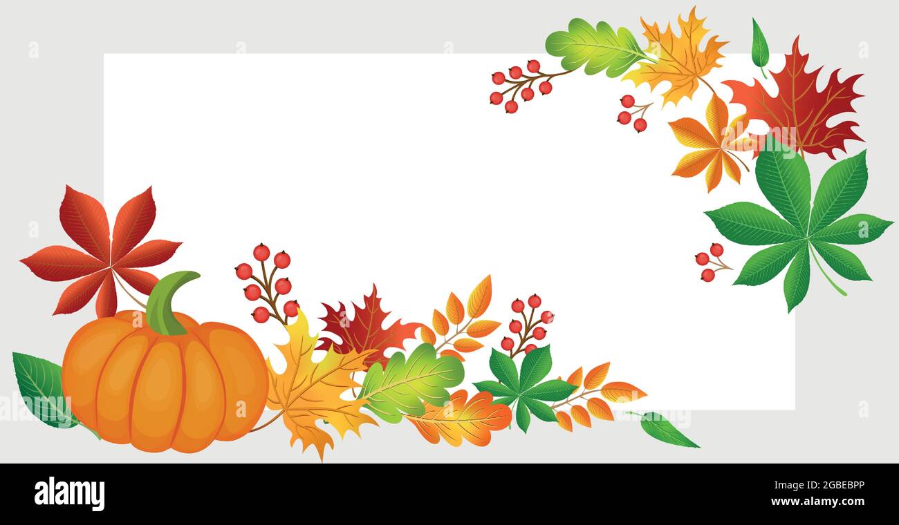 Realistic autumn foliage, white background with space for text - Vector ...