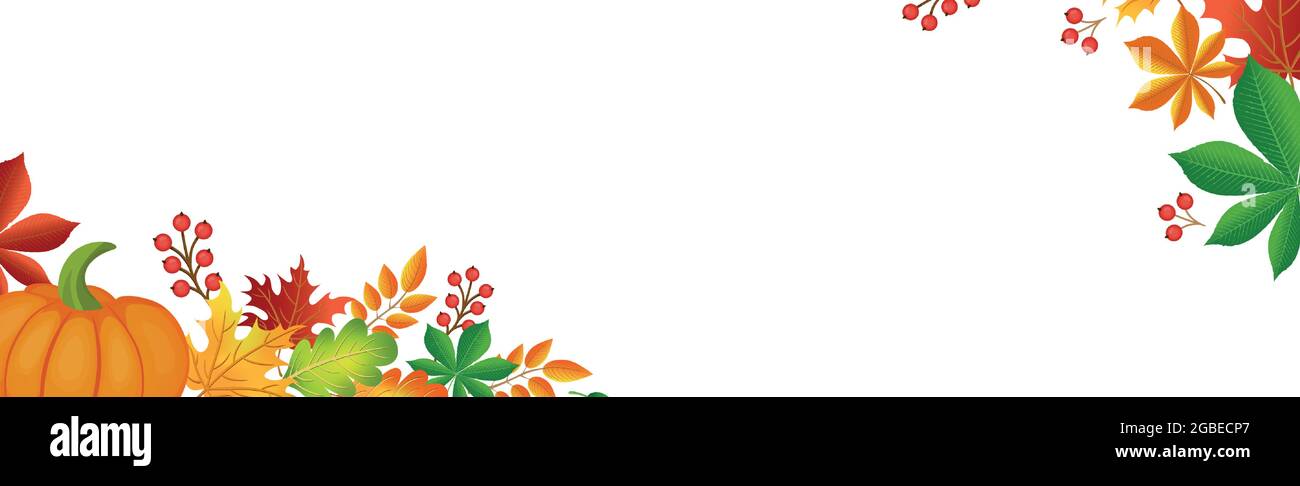 Realistic autumn foliage, white background with space for text - Vector ...