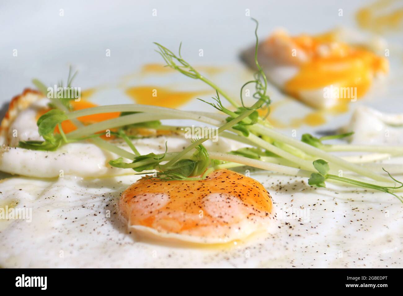 Fried sunny side up eggs with green garnish and black pepper. Stock Photo