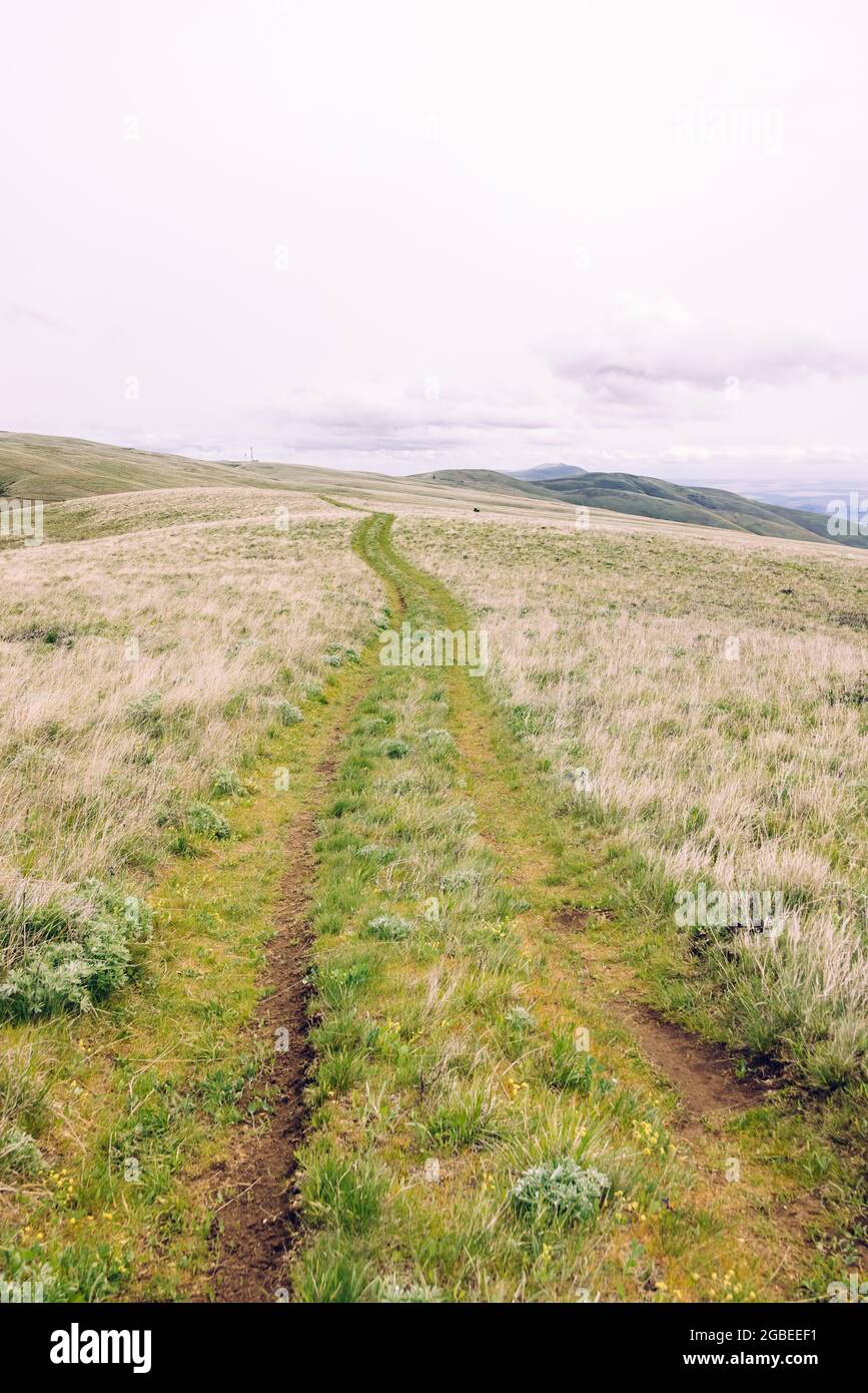 Vertical pathway through hills hi-res stock photography and images - Alamy