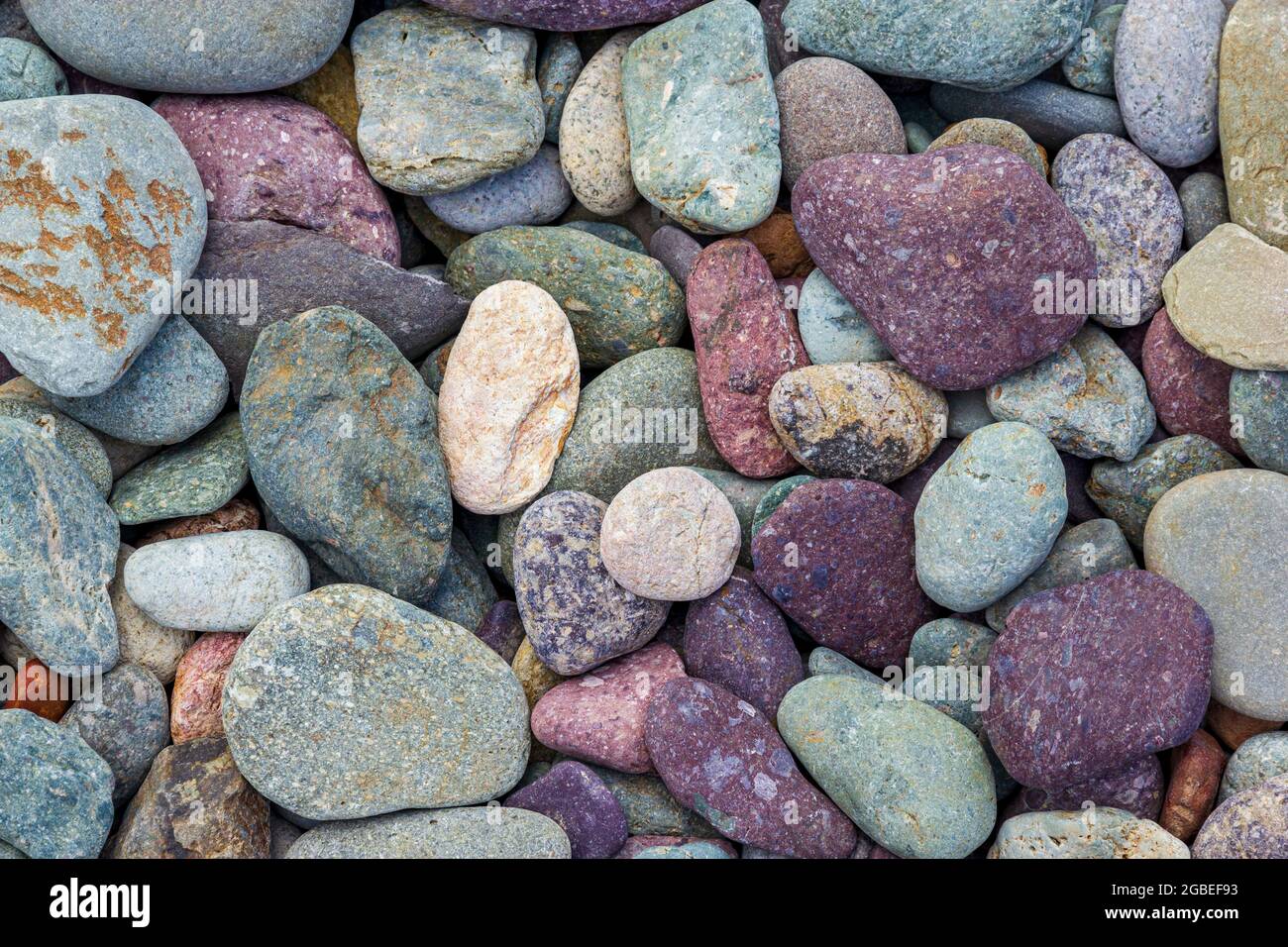 pebbles Pembrokeshire Coast National Park Stock Photo