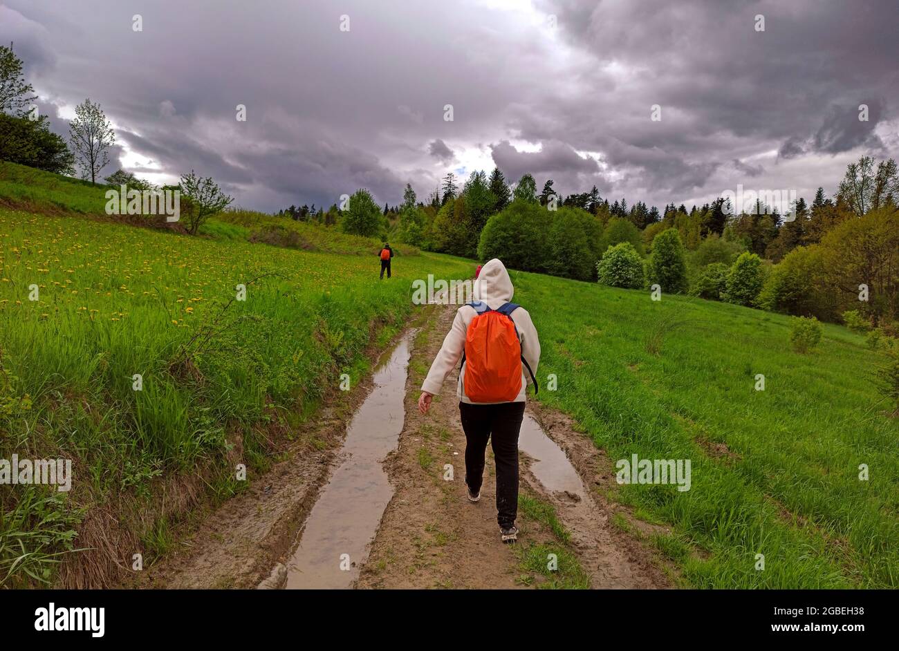 Friends hiking through the meadow of green field with backpack during rain over the mud in Polish mountains, Poland Stock Photo