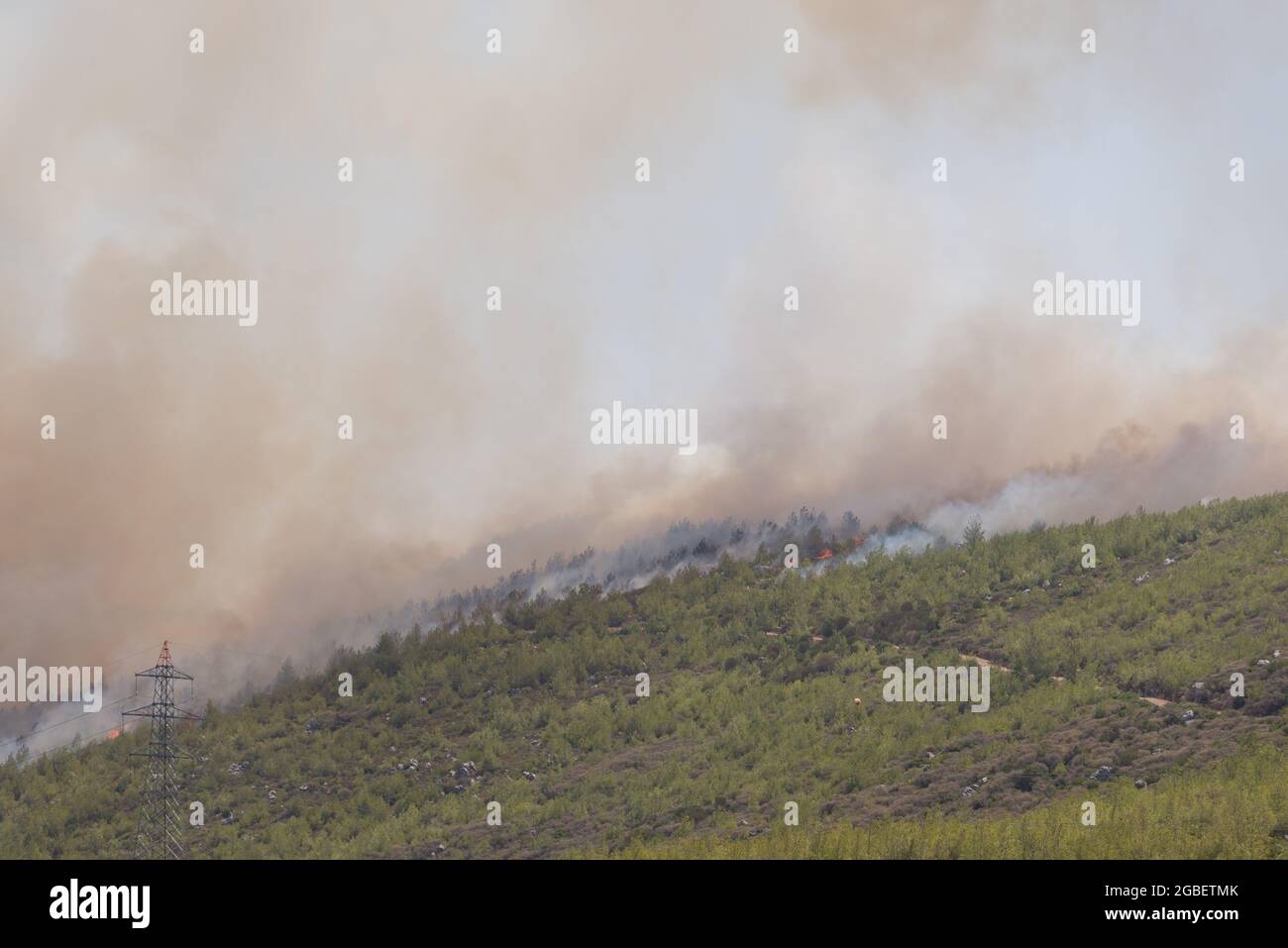 Mugla, Turkey - August 1, 2021. Forest fire at at Mazi village Mugla Bodrum Turkey Summer 2021 Stock Photo