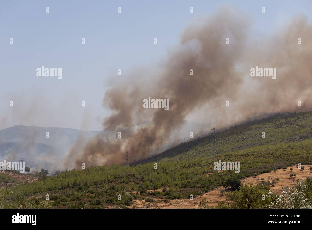 Mugla, Turkey - August 1, 2021. Forest fire at at Mazi village Mugla Bodrum Turkey Summer 2021 Stock Photo