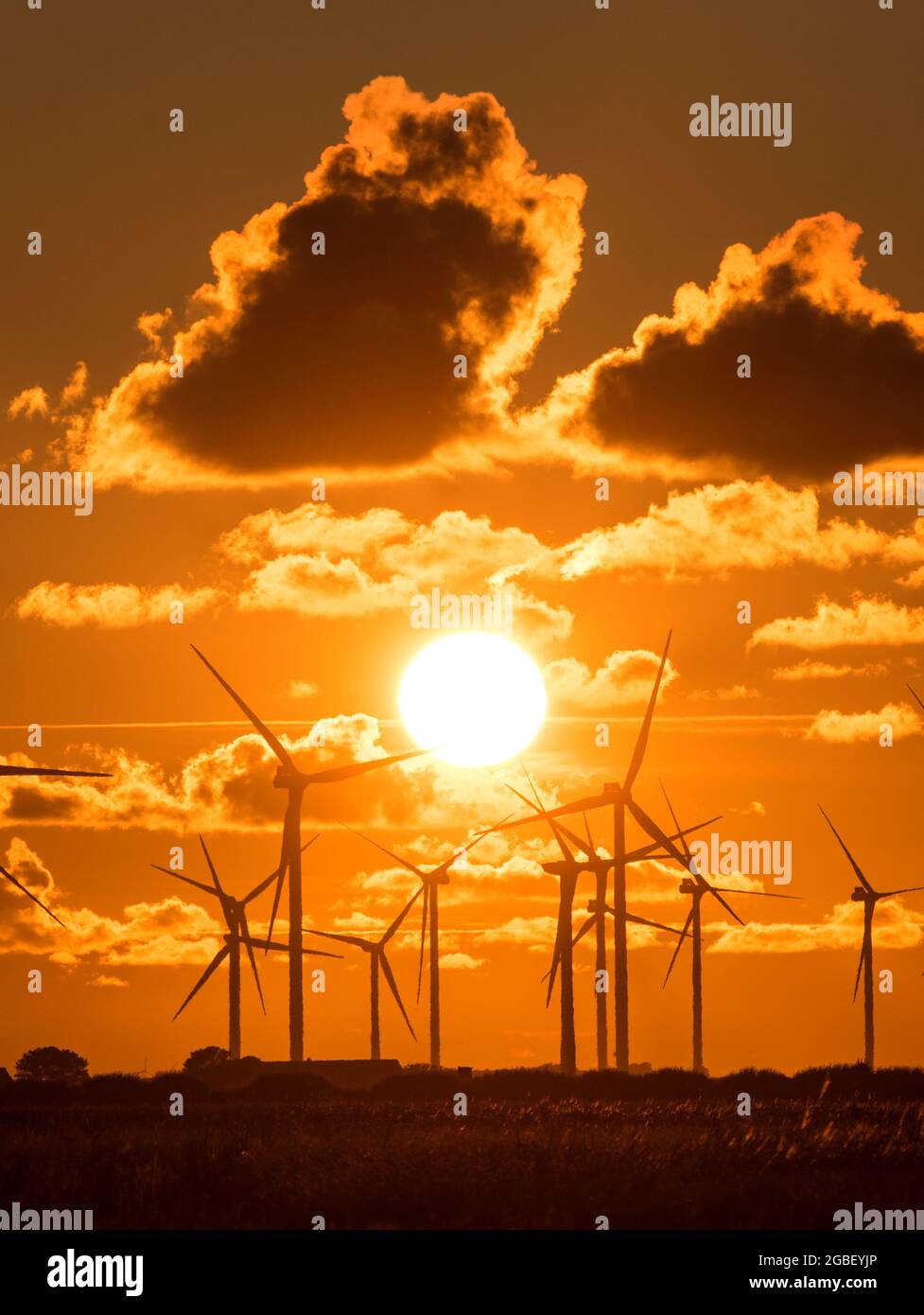 Bredstedt, Germany. 03rd Aug, 2021. The sun sets behind a wind farm with wind turbines at Bredstedter Koog. Credit: Daniel Bockwoldt/dpa/Alamy Live News Stock Photo