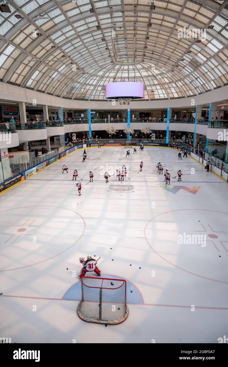 Edmonton, Alberta - August 1, 2021: Ice hockey at the West edmonton Mall Ice Palace. Stock Photo