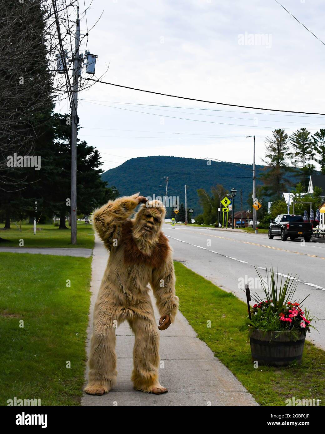 Bigfoot costume hires stock photography and images Alamy