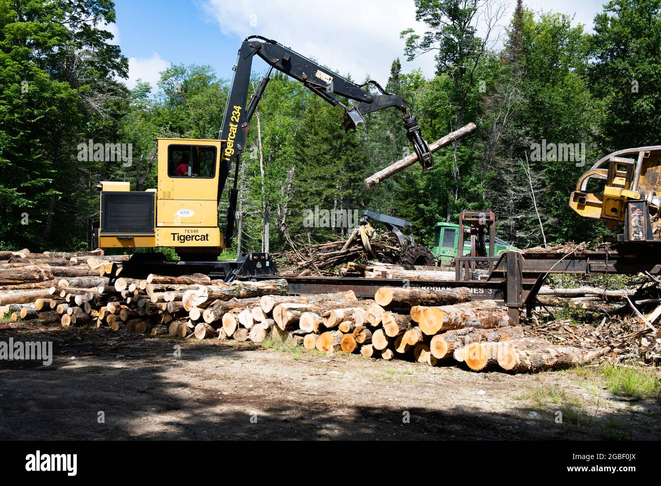 A Tigercat 234 Knuckleboom log loader with a delimber and bucksaw on a