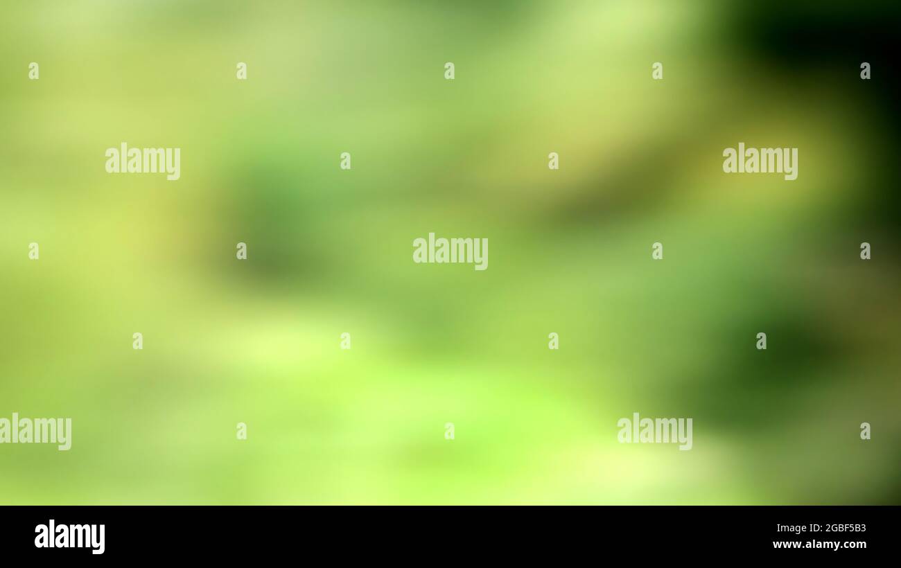 A Green Soft Blur Abstract Background Stock Photo