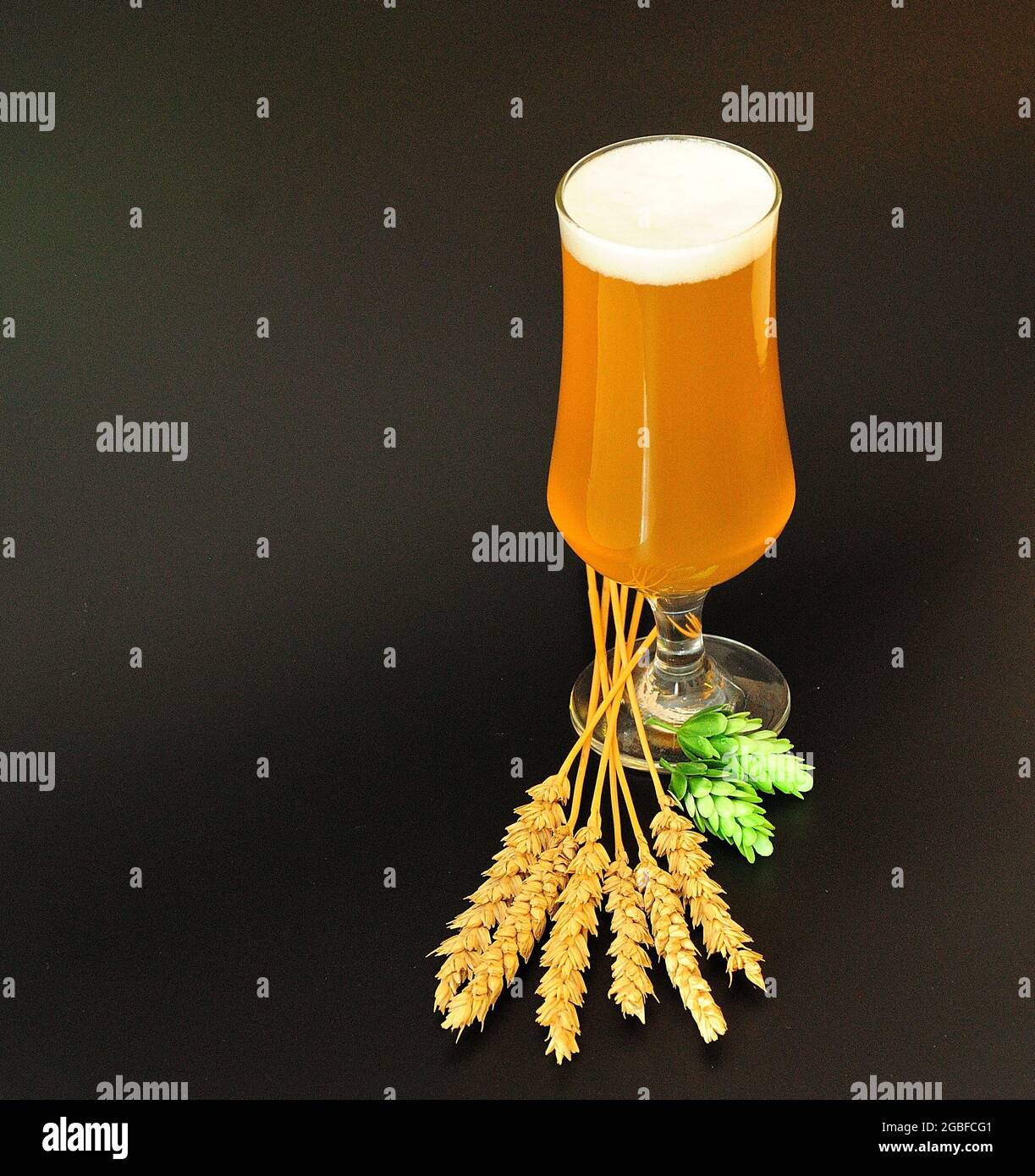 A full glass of wheat beer, next to hops and spikes of malt on a black background. Closeup