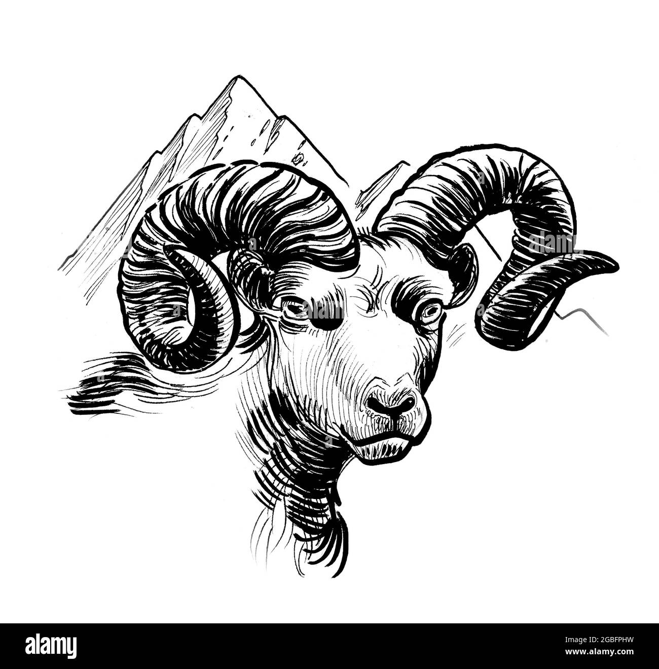 Ram head Black and White Stock Photos & Images - Alamy