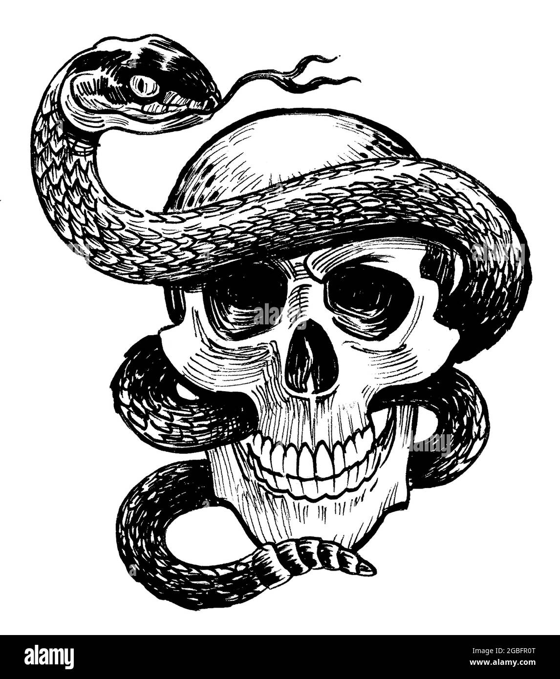 Human skull and poisonous snake. Ink black and white drawing Stock Photo