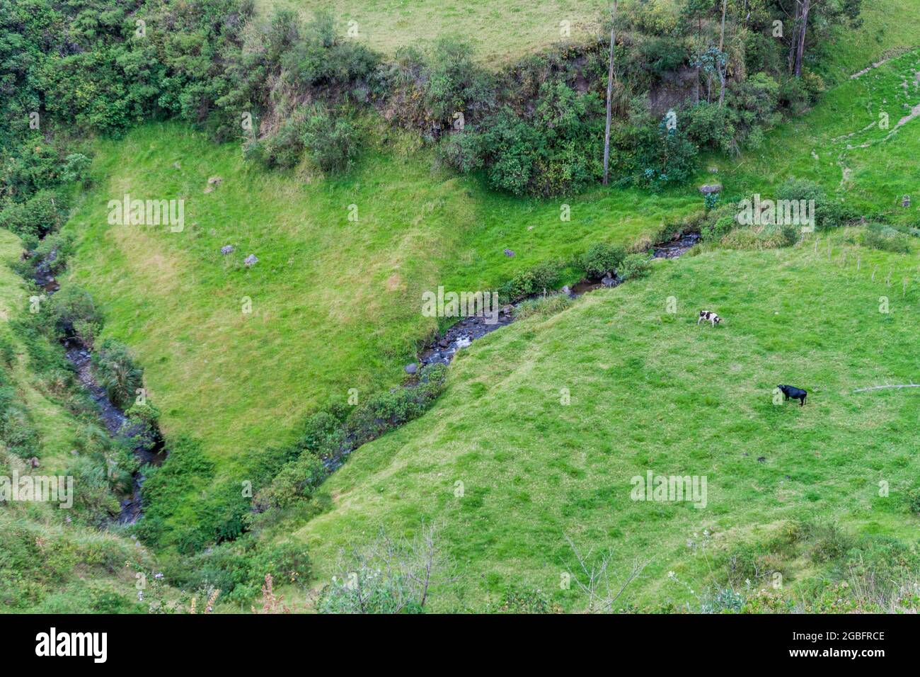 Landscape of ecuadorian mountains Stock Photo - Alamy