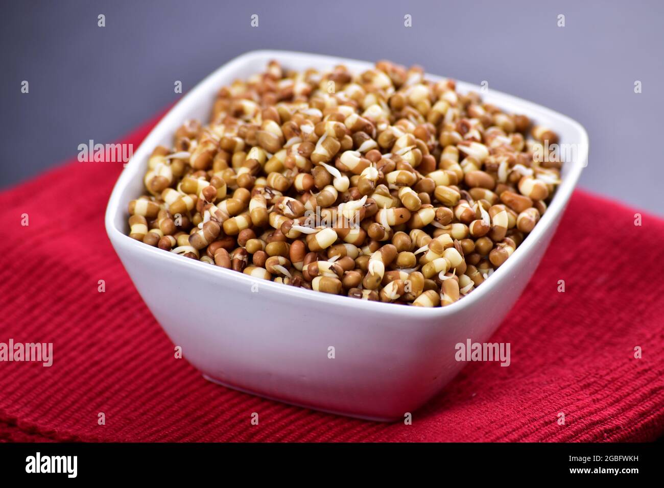 Closeup Of Mung Sprouts In Bowl Stock Photo