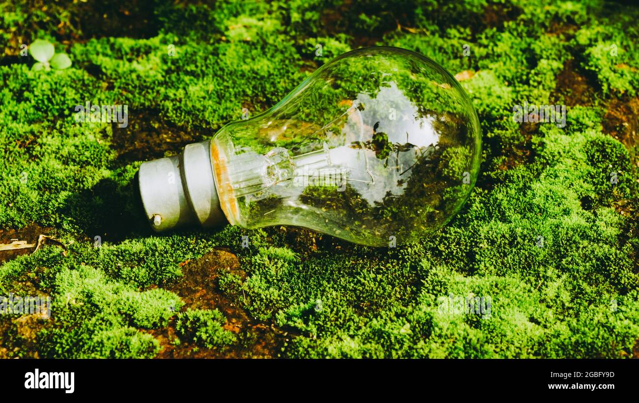 Abstract eco backgrounds with earth hi-res stock photography and images ...