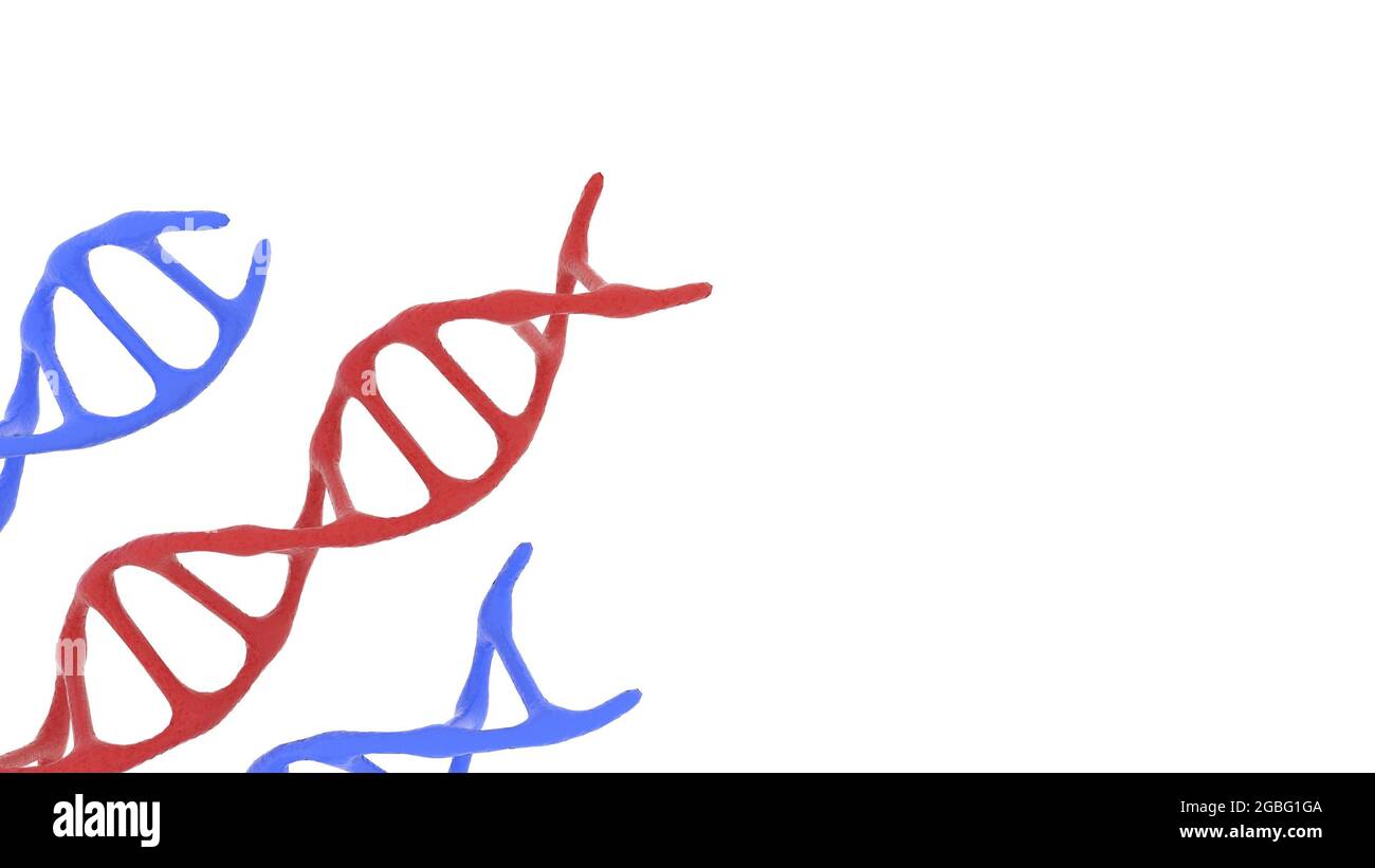 3D rendering of DNA molecules on a white background Stock Photo - Alamy