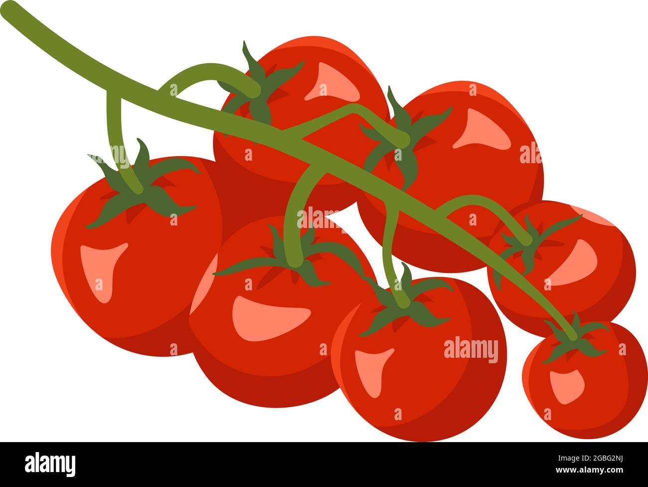 Cherry tomatoes on a branch Stock Vector