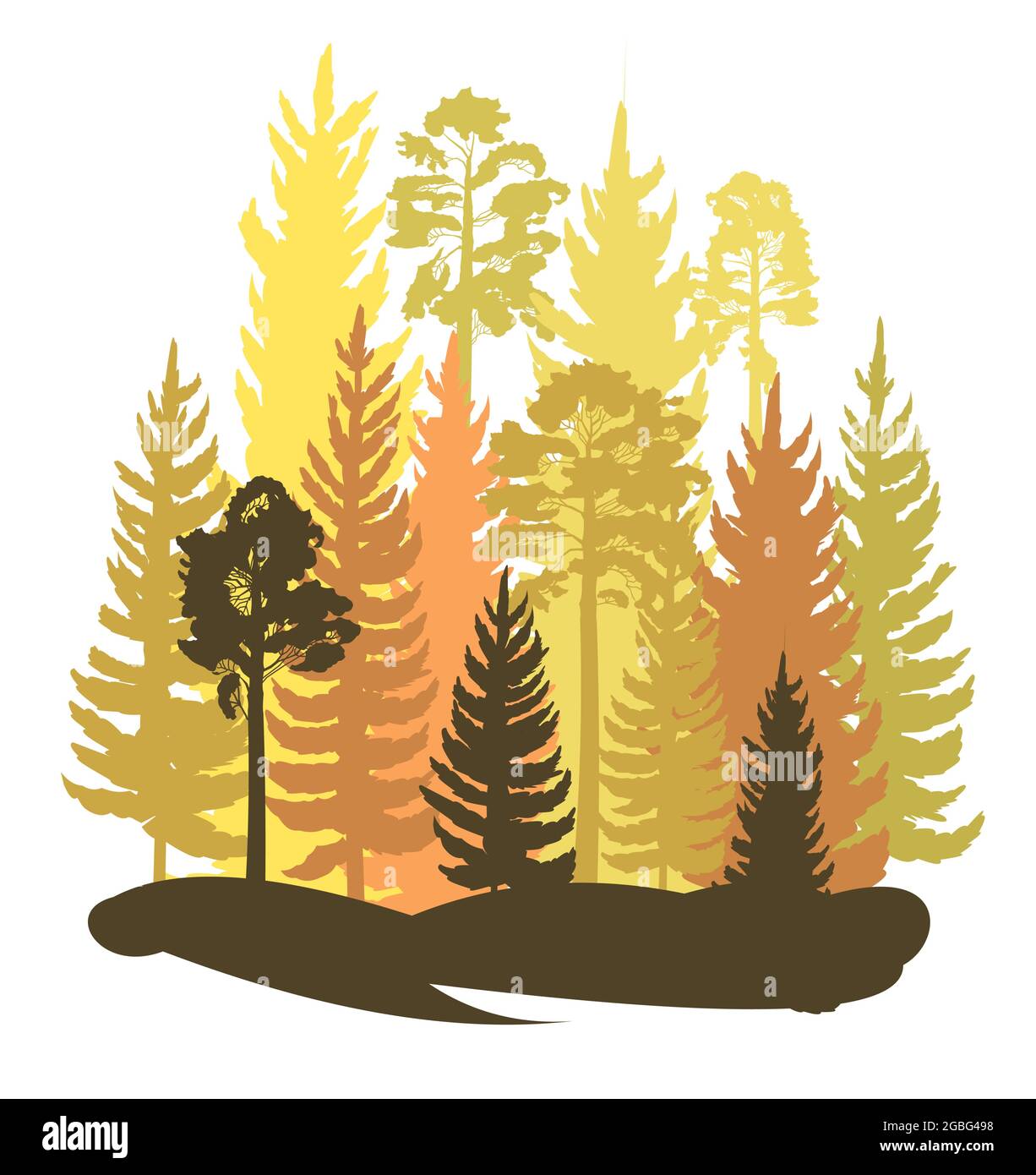 Forest silhouette scene. Landscape with coniferous trees. Beautiful morning view. Pine and spruce trees. Summer nature. Isolated illustration vector Stock Vector