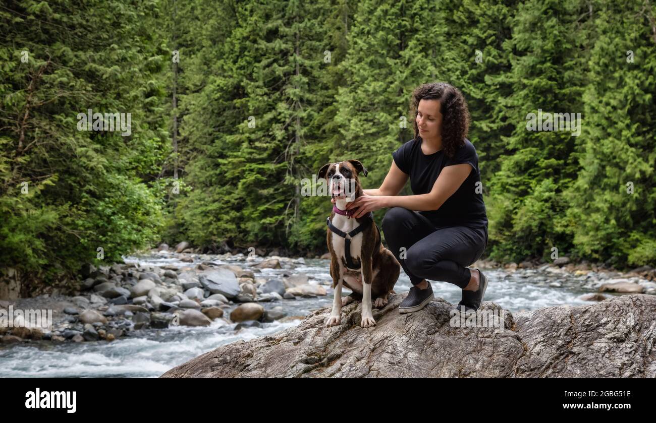 hiking with Boxer in the Canadian Nature Photo - Alamy