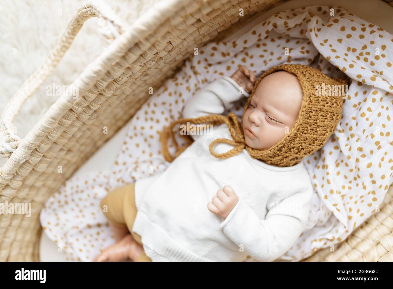 Reborn hotsell moses basket