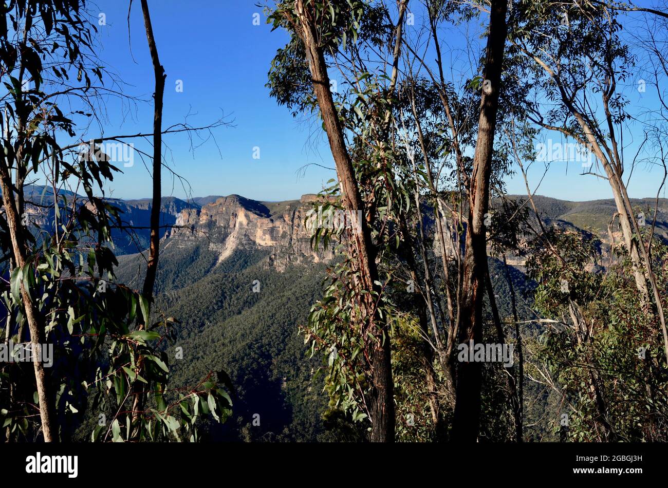 Cliff Top Walking Track Stock Photo Alamy