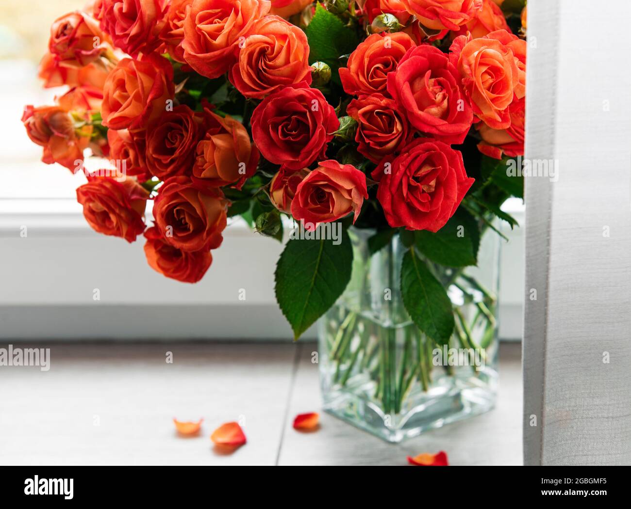 Red roses in a glass vase on the window sill Stock Photo - Alamy
