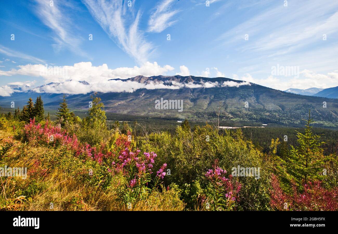 Kootenay valley hi-res stock photography and images - Alamy