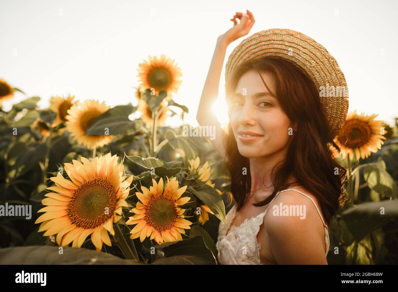 Young woman having a walk in sunflowers field in the morning Stock ...
