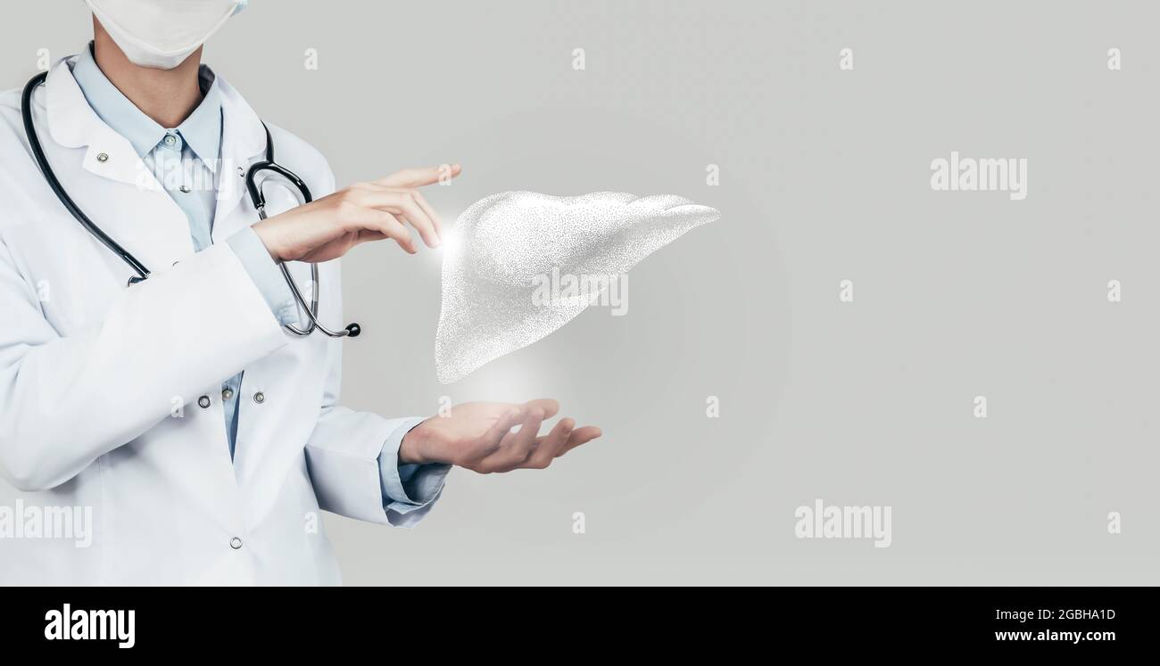 Female doctor holding virtual volumetric drawing of  Liver in hand. Handrawn human organ, copy space on right side, grey hdr color. Healthcare / scien Stock Photo