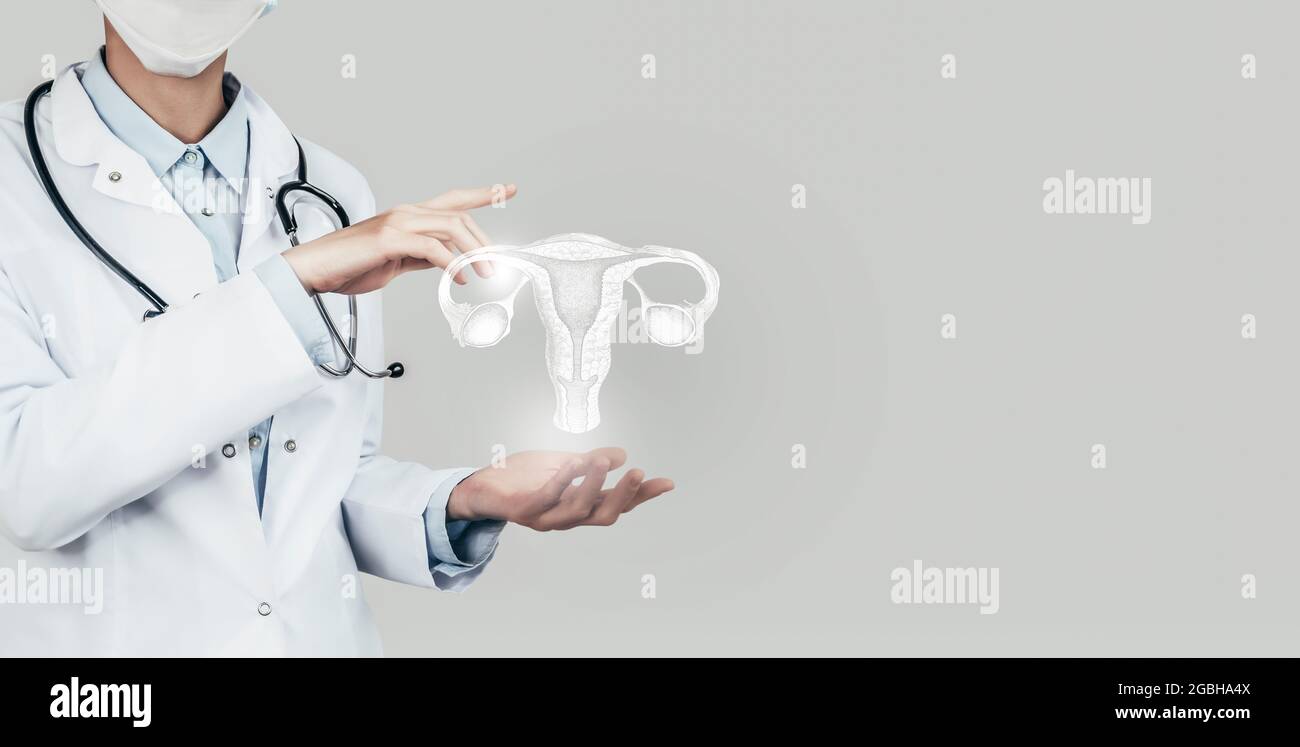 Female doctor holding virtual Uterus in hand. Handrawn human organ, copy space on right side, grey hdr color. Healthcare / scientific technologies con Stock Photo
