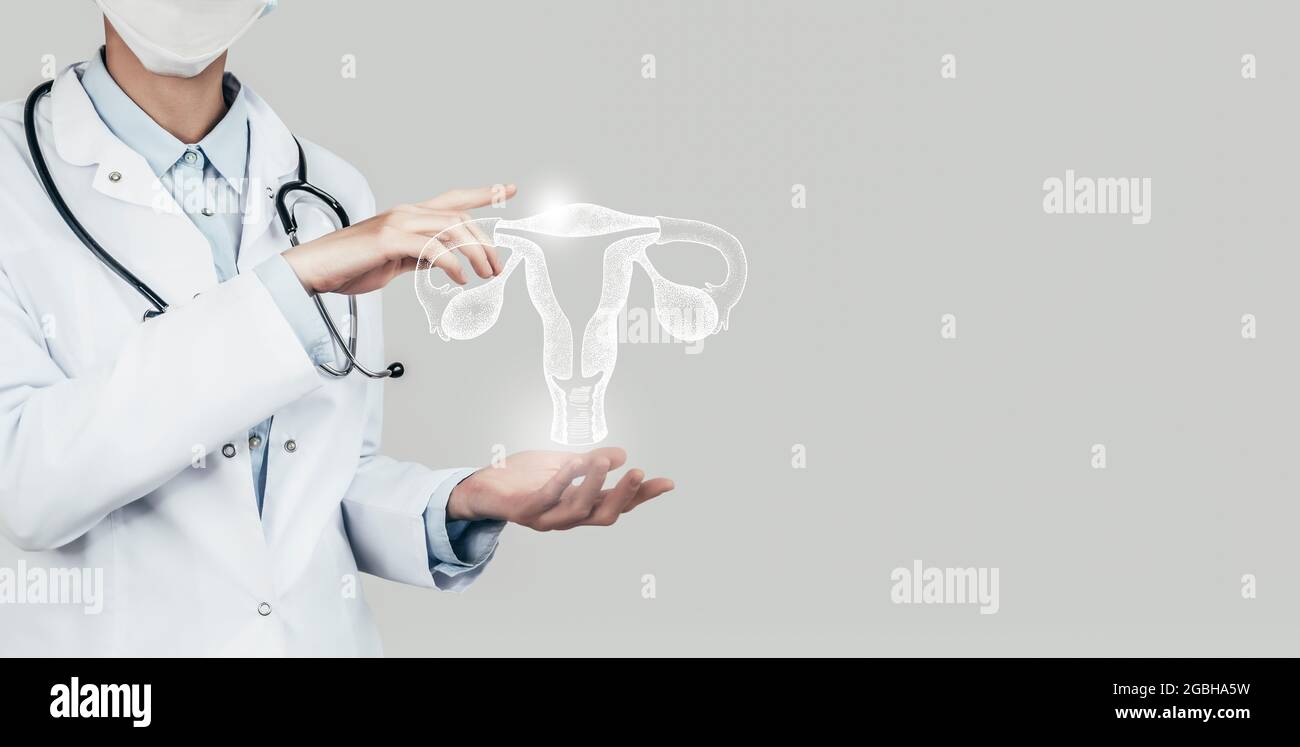 Female doctor holding virtual Uterus in hand. Handrawn human organ, copy space on right side, grey hdr color. Healthcare / scientific technologies con Stock Photo