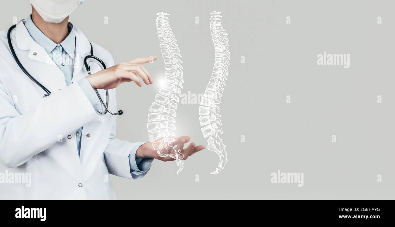 Female doctor holding virtual Spine in hand. Handrawn human organ, copy space on right side, grey hdr color. Healthcare / scientific technologies conc Stock Photo