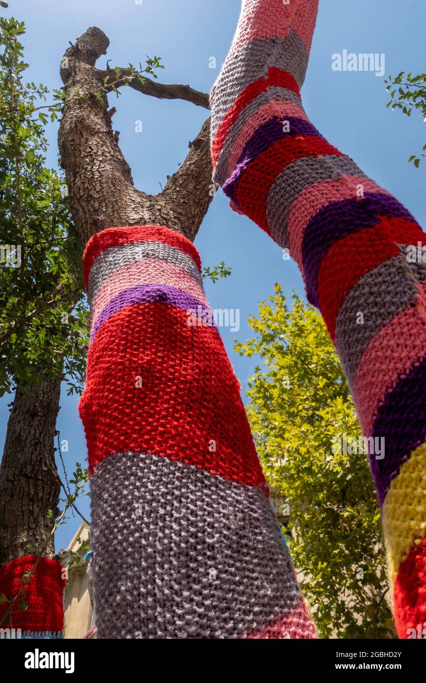 Colourful knitted and crocheted yarns wrap a trunk of a "Yarn Bombed