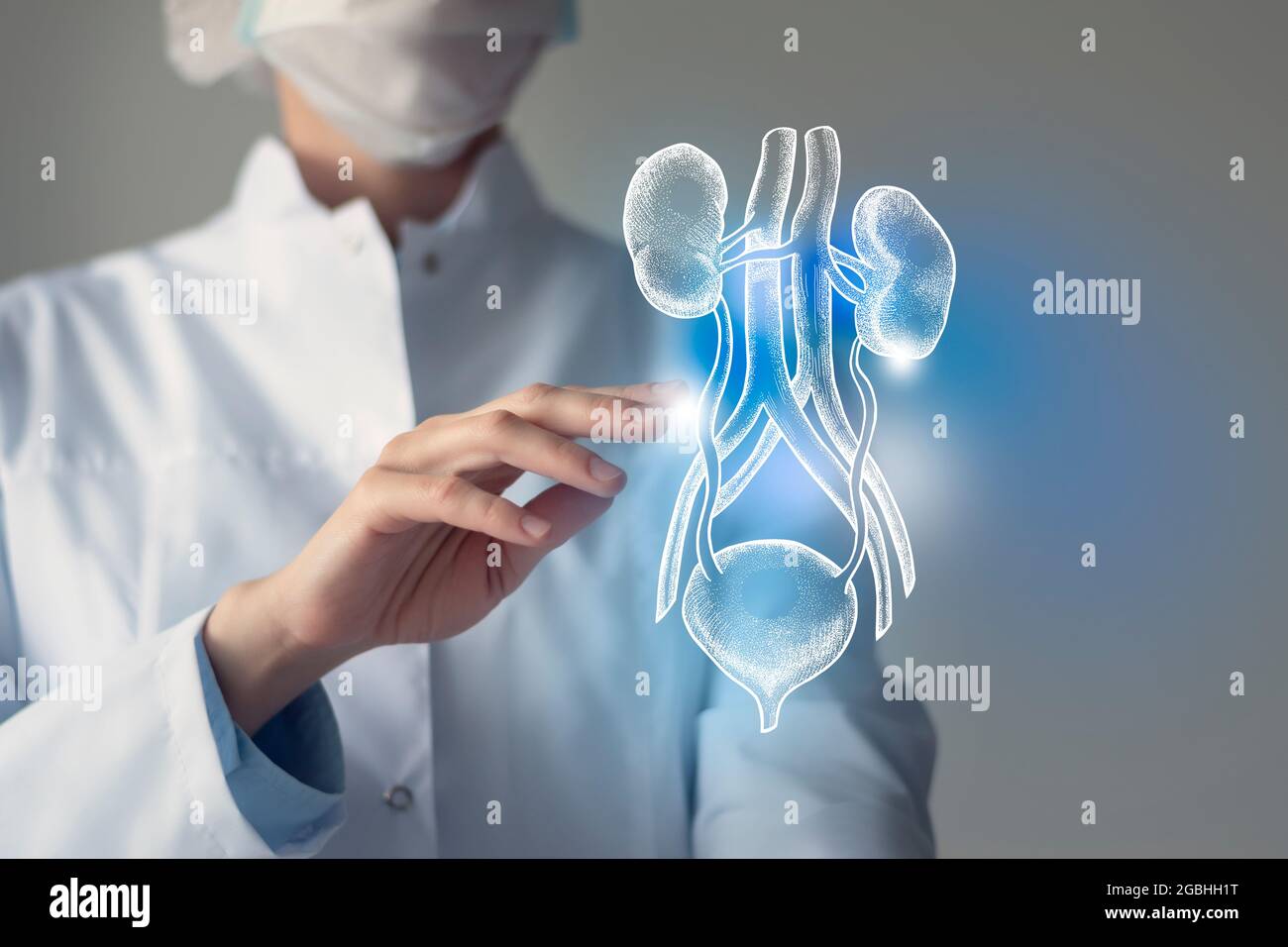 Female doctor touches virtual Bladder and Kidneys in hand. Blurred photo, handrawn human organ, highlighted blue as symbol of recovery. Healthcare hos Stock Photo