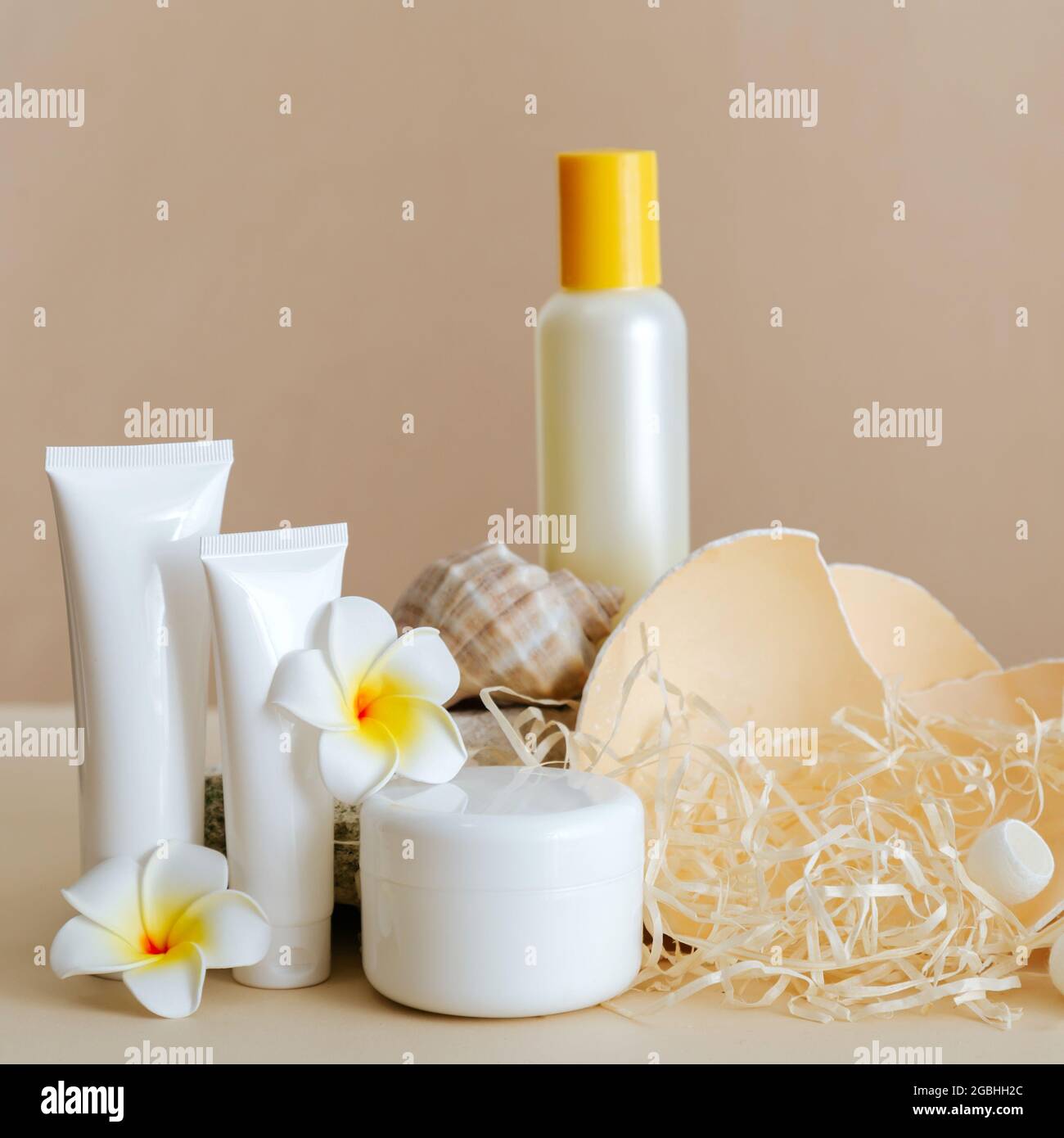 Natural beauty cosmetic product composition for skincare with sea shell ...