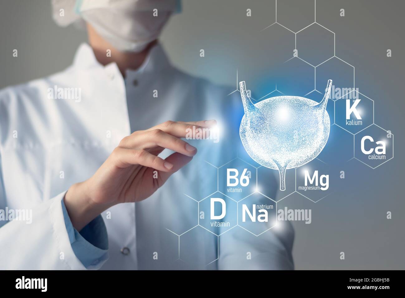 Essential nutrients for Bladder health including Natrium, Magnesium, Vitamin B6, Calcium. Blurred portrait of doctor holding highlighted blue Bladder. Stock Photo
