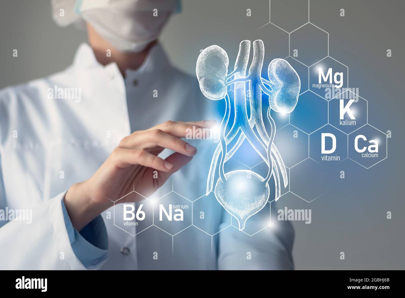 Essential nutrients for  Bladder and Kidneys health including Natrium, Magnesium, Vitamin B6, Calcium. Blurred portrait of doctor holding highlighted Stock Photo