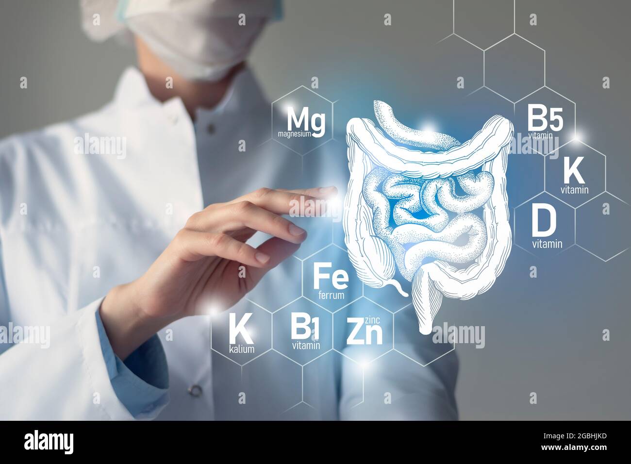 Essential nutrients for Intestine health including Kalium, Ferrum, Magnesium, Vitamin D. Blurred portrait of doctor holding highlighted Intestine. Stock Photo